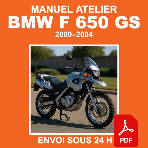 Manuale officina bmw 650 gs - officina,